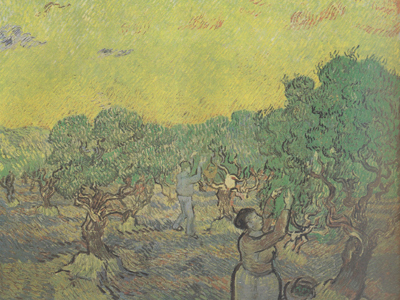 Olive Grove with Picking Figures (nn04)